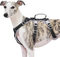 Escape Proof Dog Harness - Secure Reflective Vest for Small Dogs