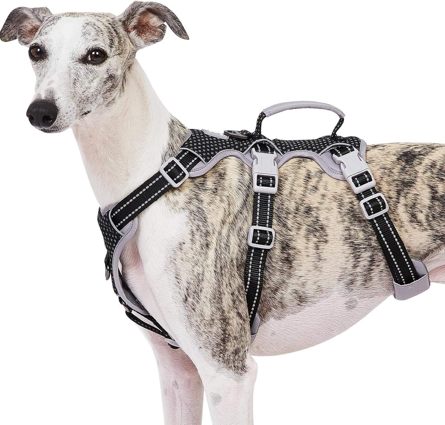 Escape Proof Dog Harness for Small Dogs - Reflective & Adjustable