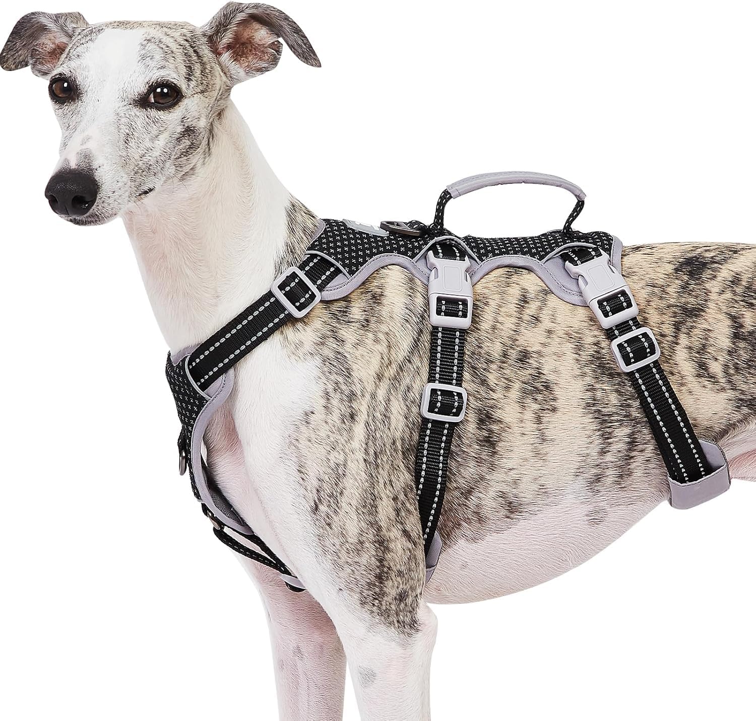 Escape Proof Dog Harness for Small Dogs - Reflective & Adjustable
