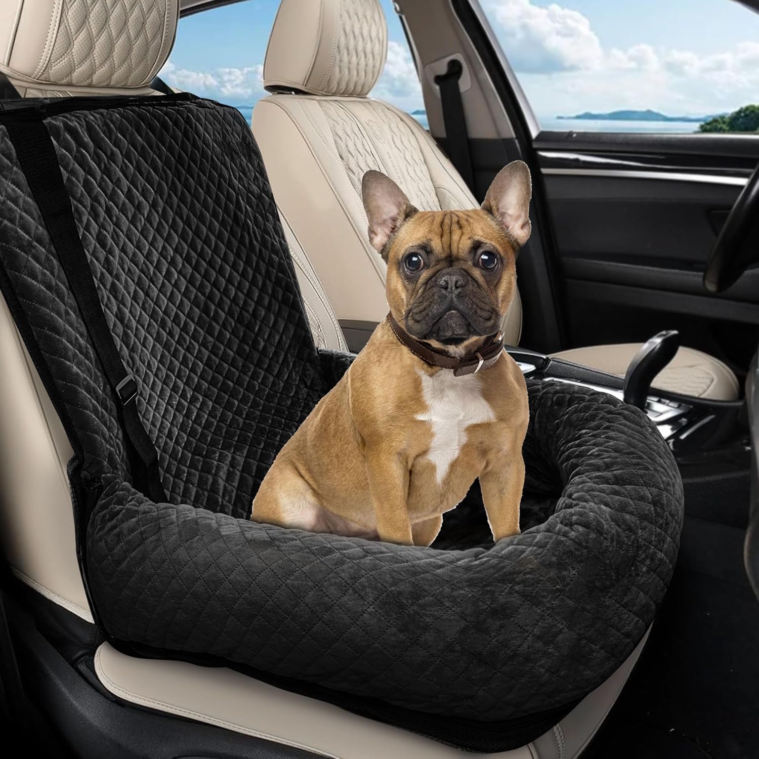 Sephyroth Washable Dog Car Bed for Safety & Comfort