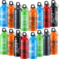 17oz Gaming Water Bottles 24-Pack - Colorful Insulated Gamer Cups