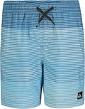 Quiksilver Boys' Volley Swim Trunks with UPF 50+ Sun Protection