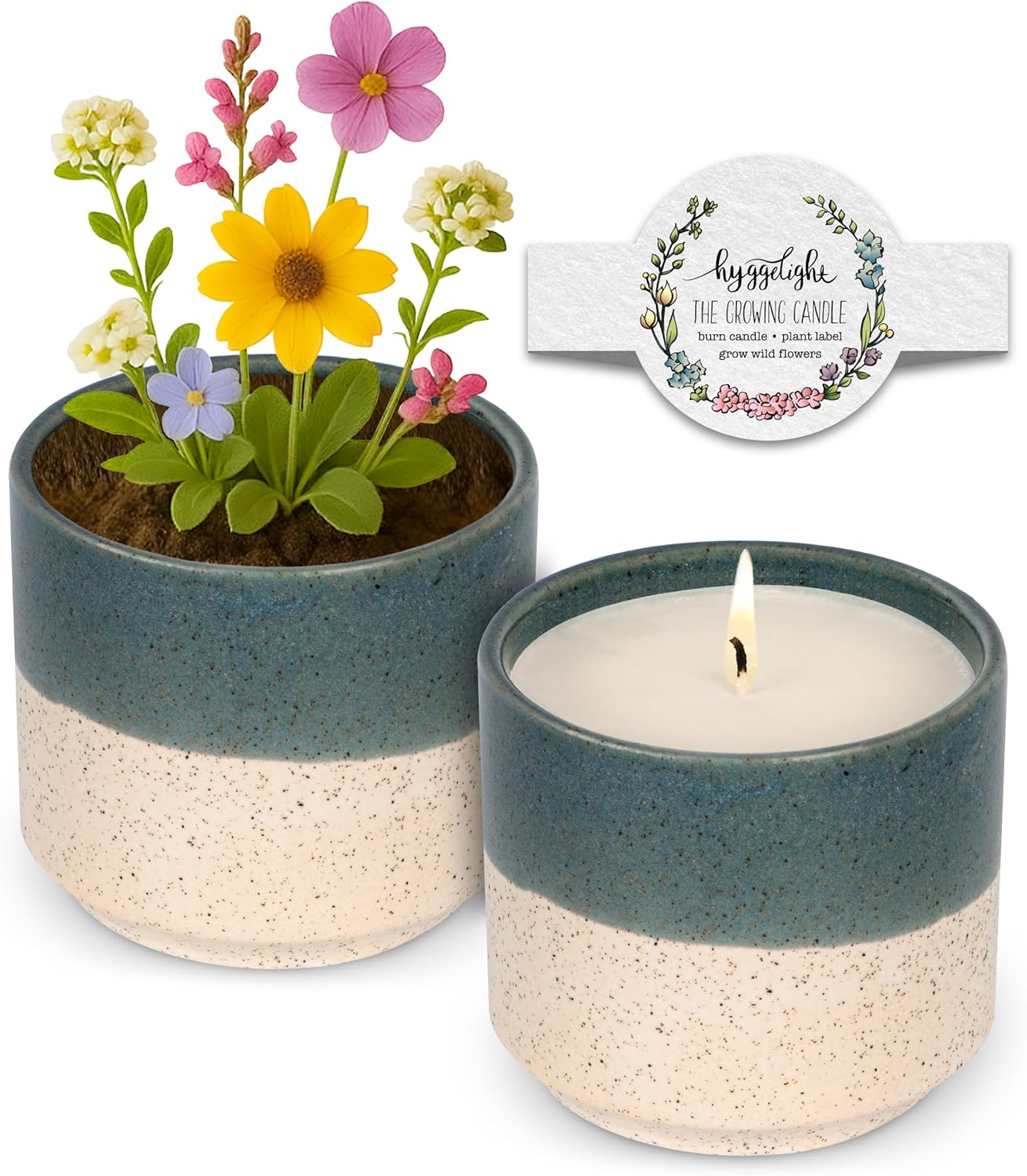 The Growing Candle Lemongrass Scented Eco-Friendly Gift