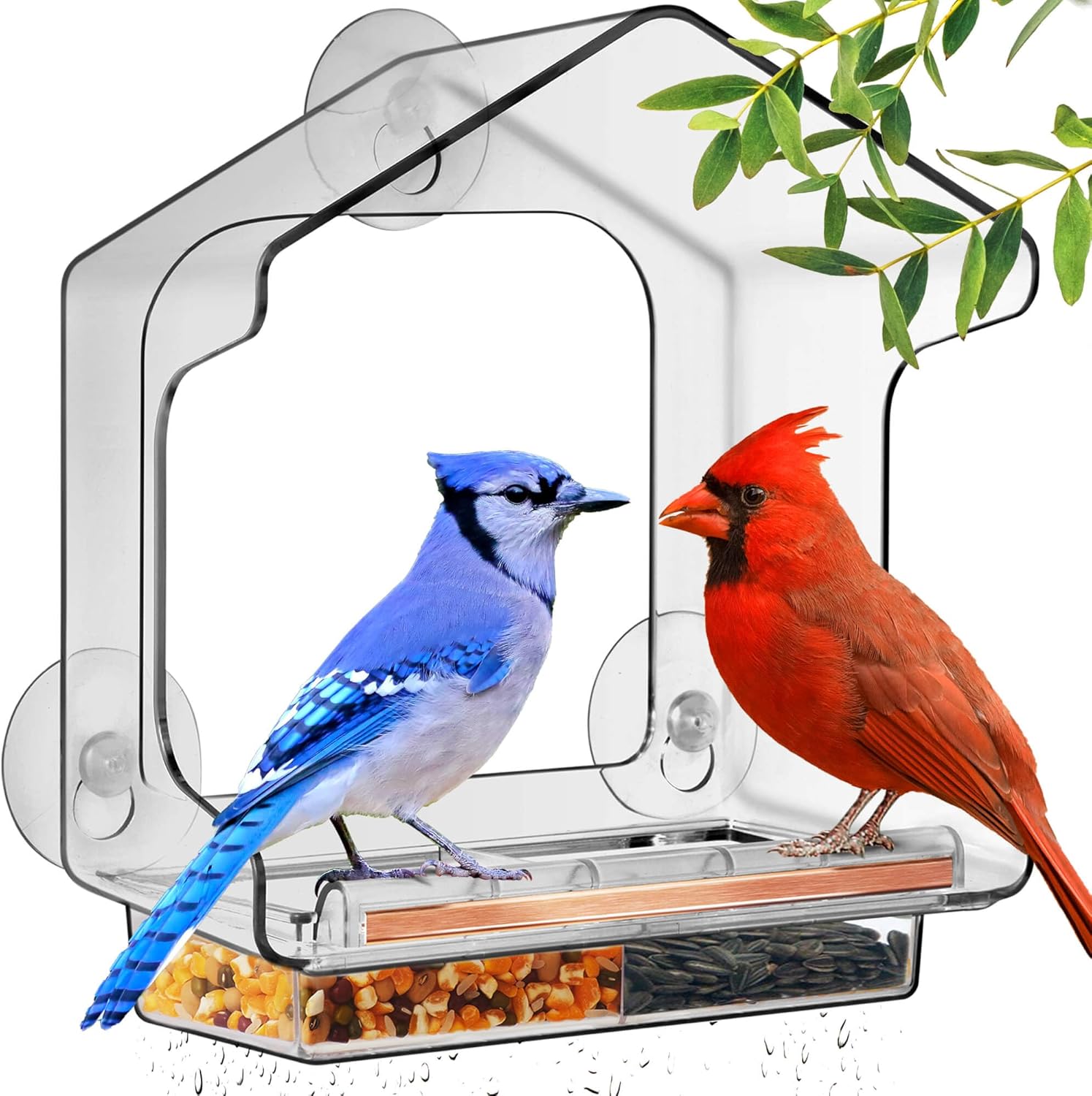 LUJII One Piece Window Bird Feeder - Strong Suction, No Glue, Large Size