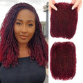 14 Inch Afro Kinkys Bulk Human Hair 2 Bundles - 4C Curly for Twists