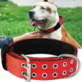 Red Large Dog Collar 2 in Wide Heavy Duty Collar - Tough Control