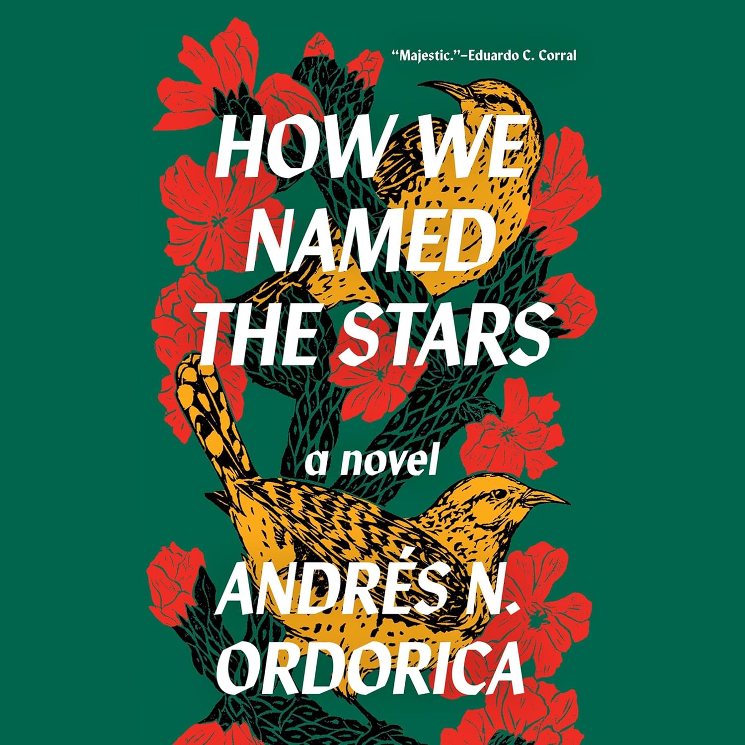 How We Named the Stars: A Journey Through Celestial Wonders