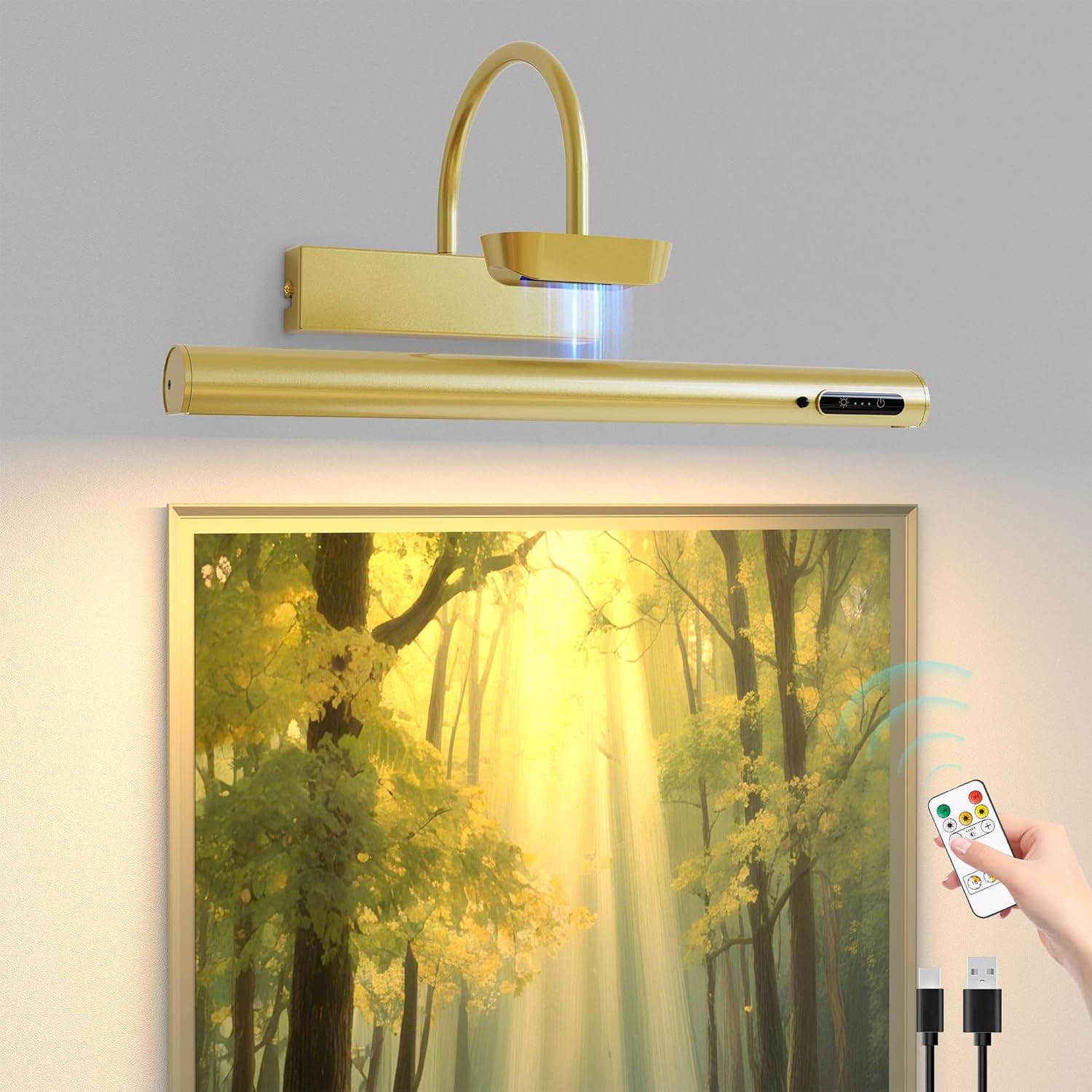 Bridika Picture Light Battery Operated for Art and Photos
