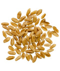 Glyphosate Residue Free Hard Red Spring Wheat Berries - 18 LBS