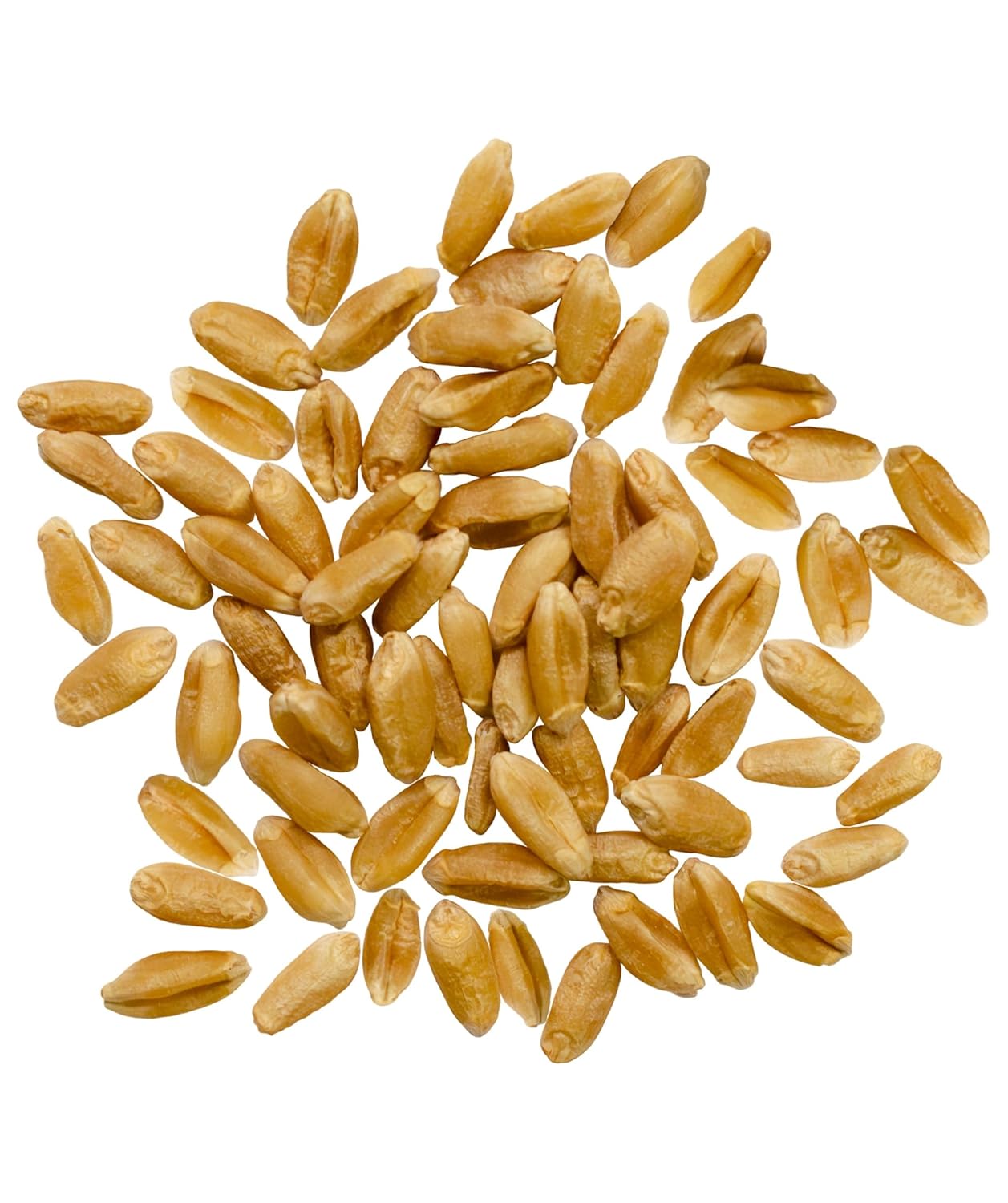 Certified Glyphosate Residue Free Hard Red Spring Wheat Berries
