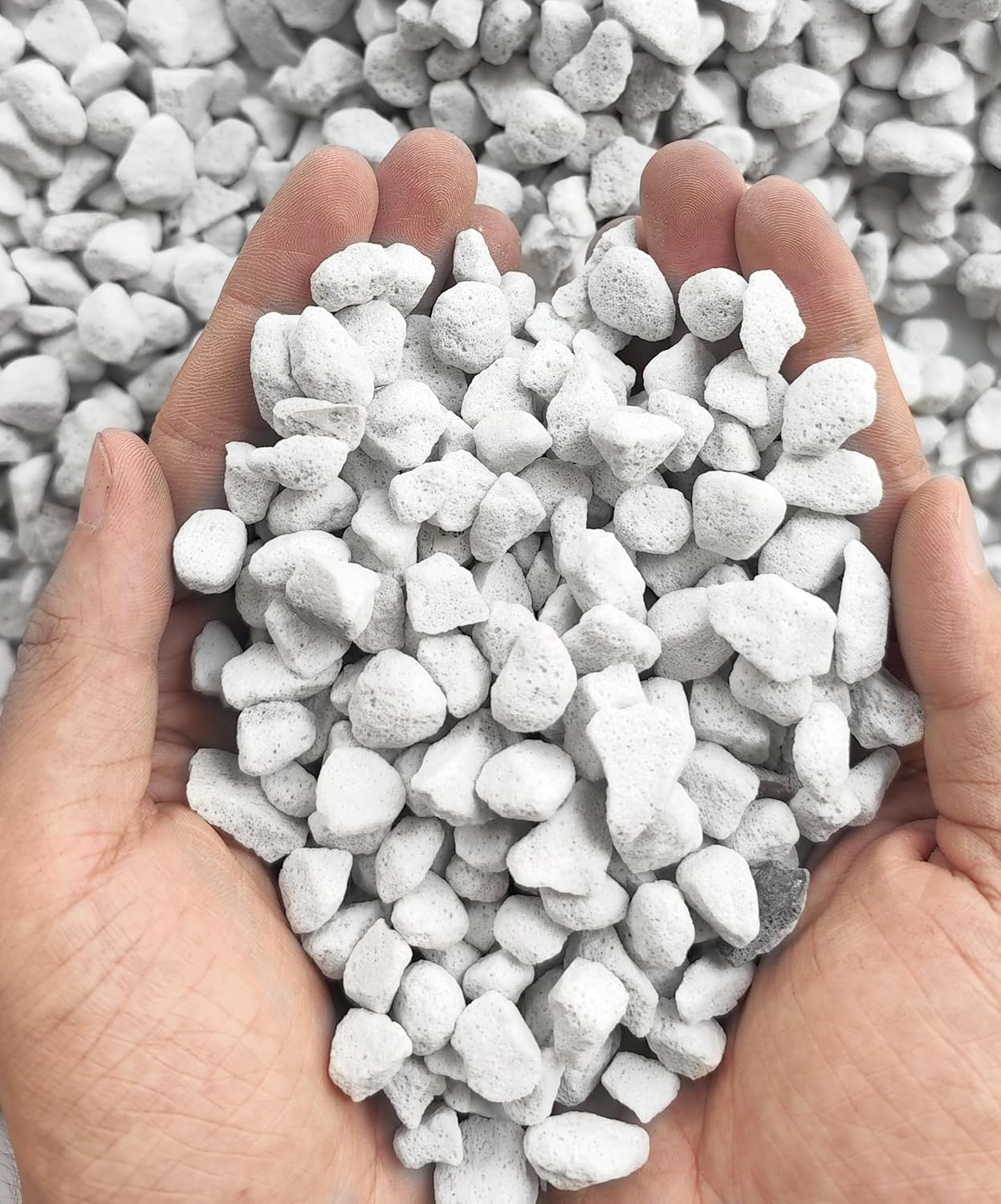 50QT Organic Perlite Horticultural Soil Amendment for Plants