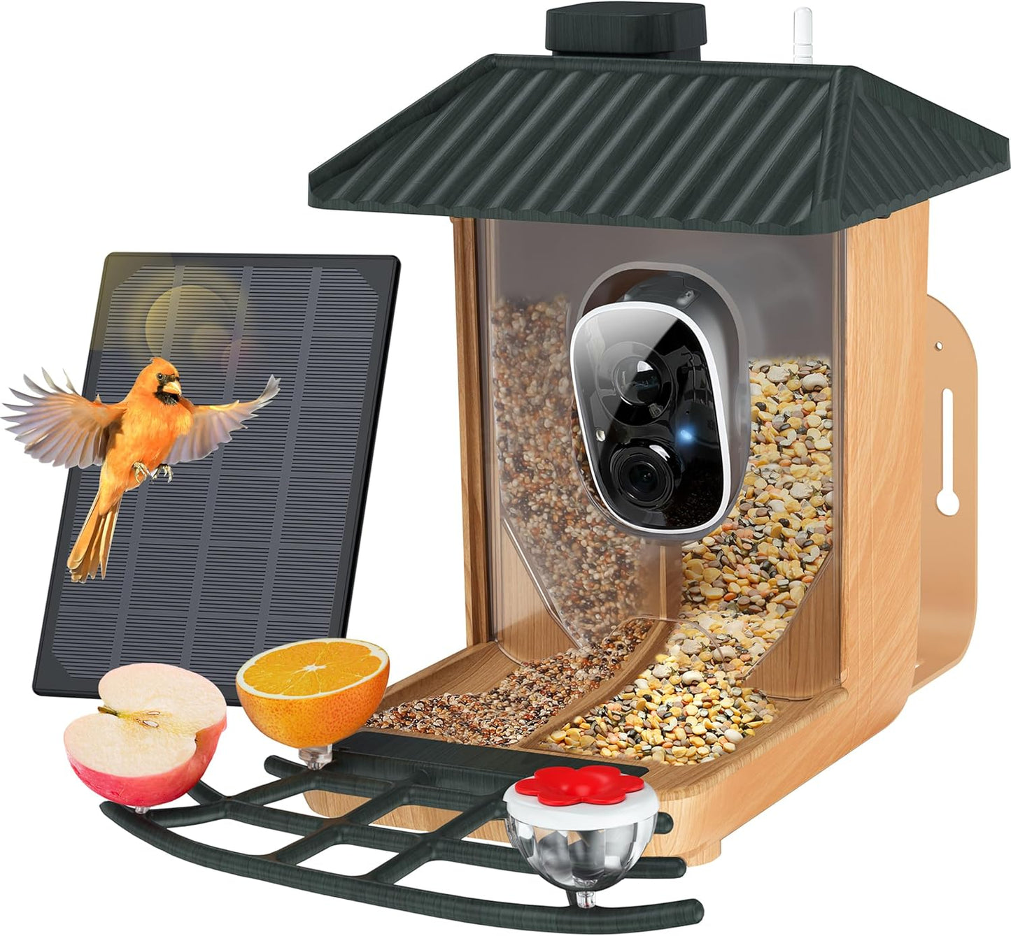 Osoeri Smart Bird Feeder with Camera for Bird Watching Fun