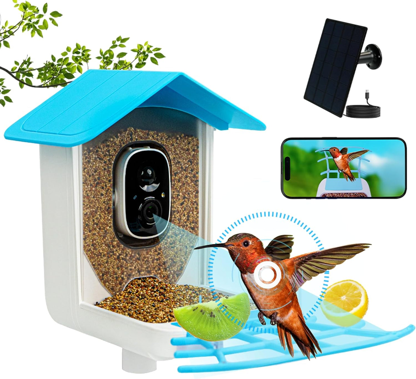 AI Bird Feeder with Camera, Solar Powered, Identify 10K+ Species, Auto Capture, Mejoro Blue