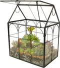 ElegantLife Glass Geometric Plant Terrarium for Home Decor