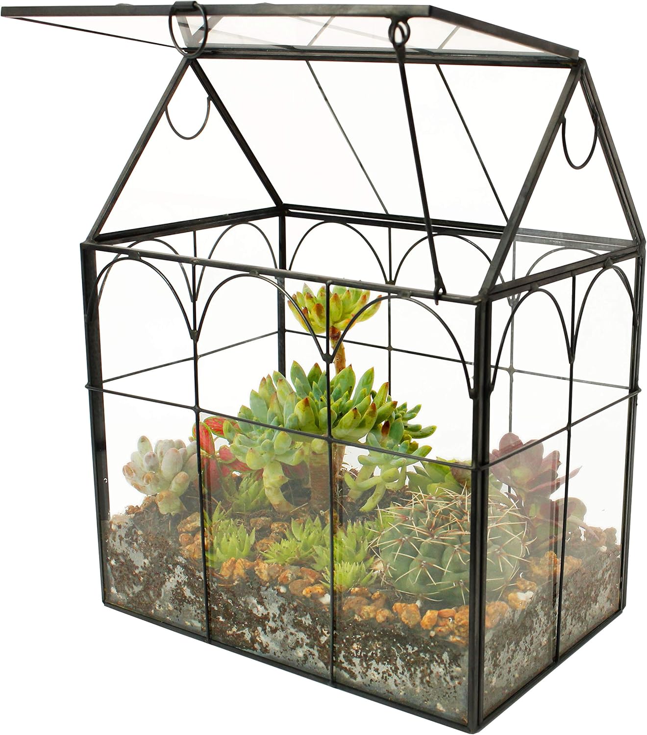 ElegantLife Glass Geometric Plant Terrarium for Home Decor