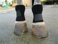Bedsore Boots for Horses Protect Sores - Comfortable Recovery Aid