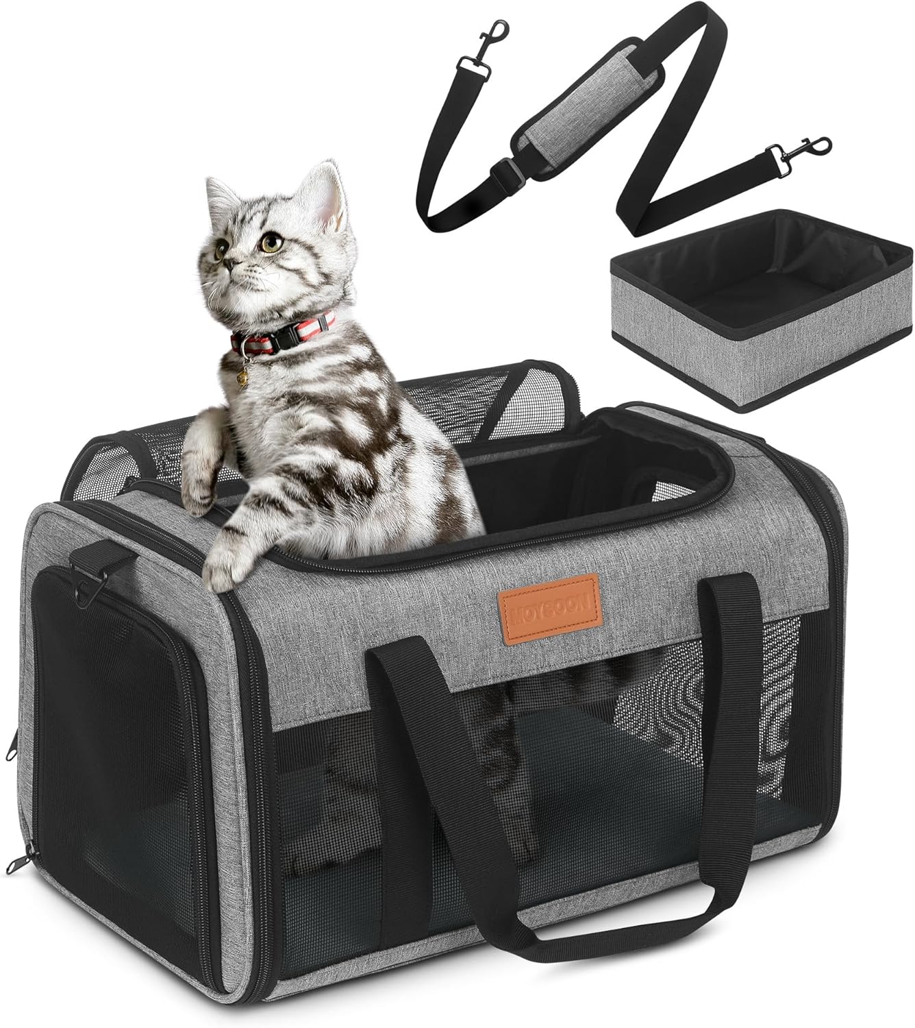 PETUX Pet Carrier Airline Approved for Small Cats and Puppies