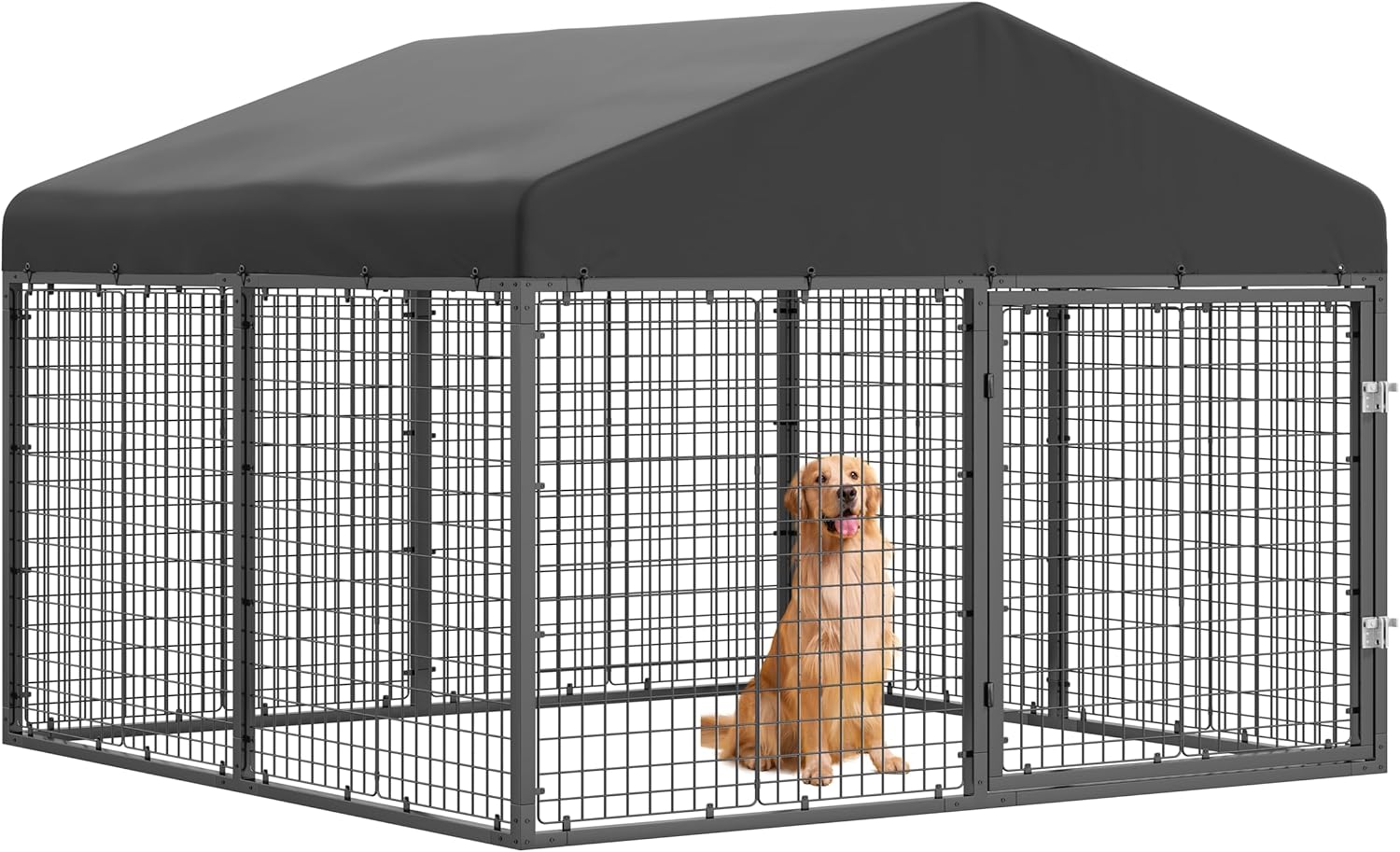 Large Outdoor Dog Enclosure with Roof for Ultimate Safety