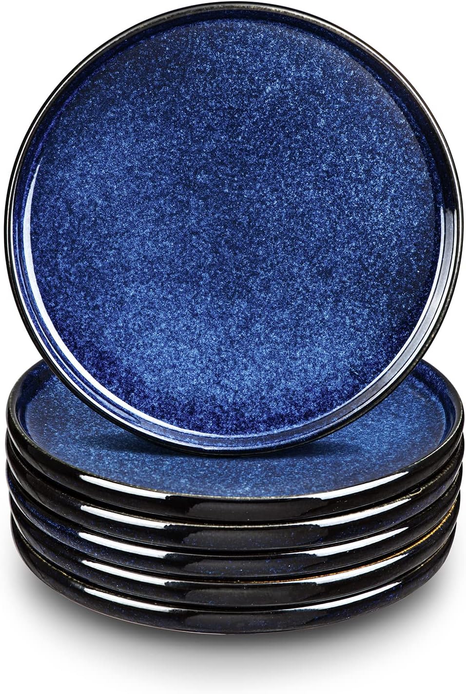 Vicrays Ceramic Dinner Plates Set - Elegant 10 Inch Plates