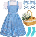 Girls Blue Plaid Costume Kids Storybook Dress Up Set - 7 Piece