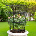 Large Obelisk Trellis Peony Cage 24.6x17 in - Sturdy Metal Plant