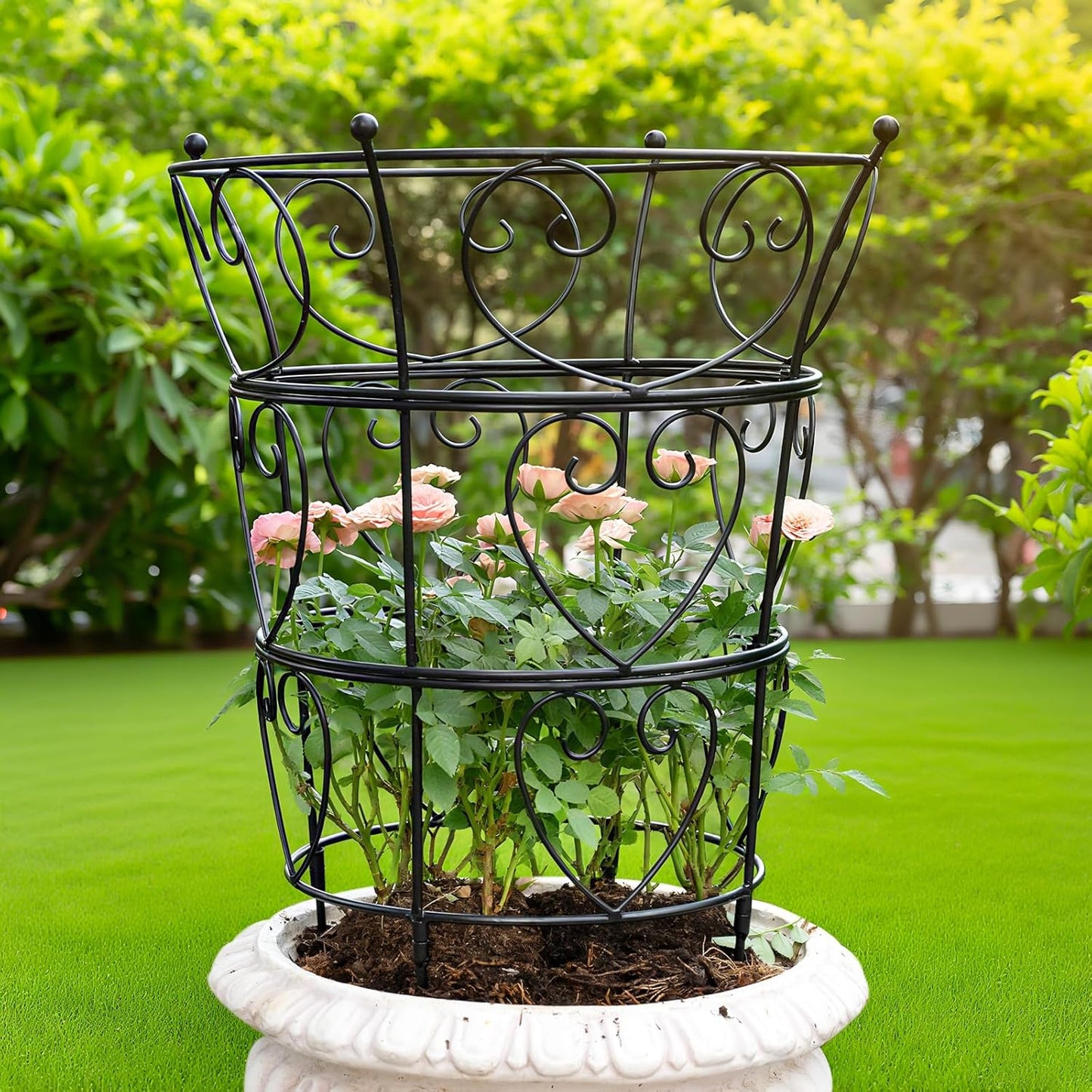 Large Obelisk Trellis Peony Cage for Climbing Plants Support