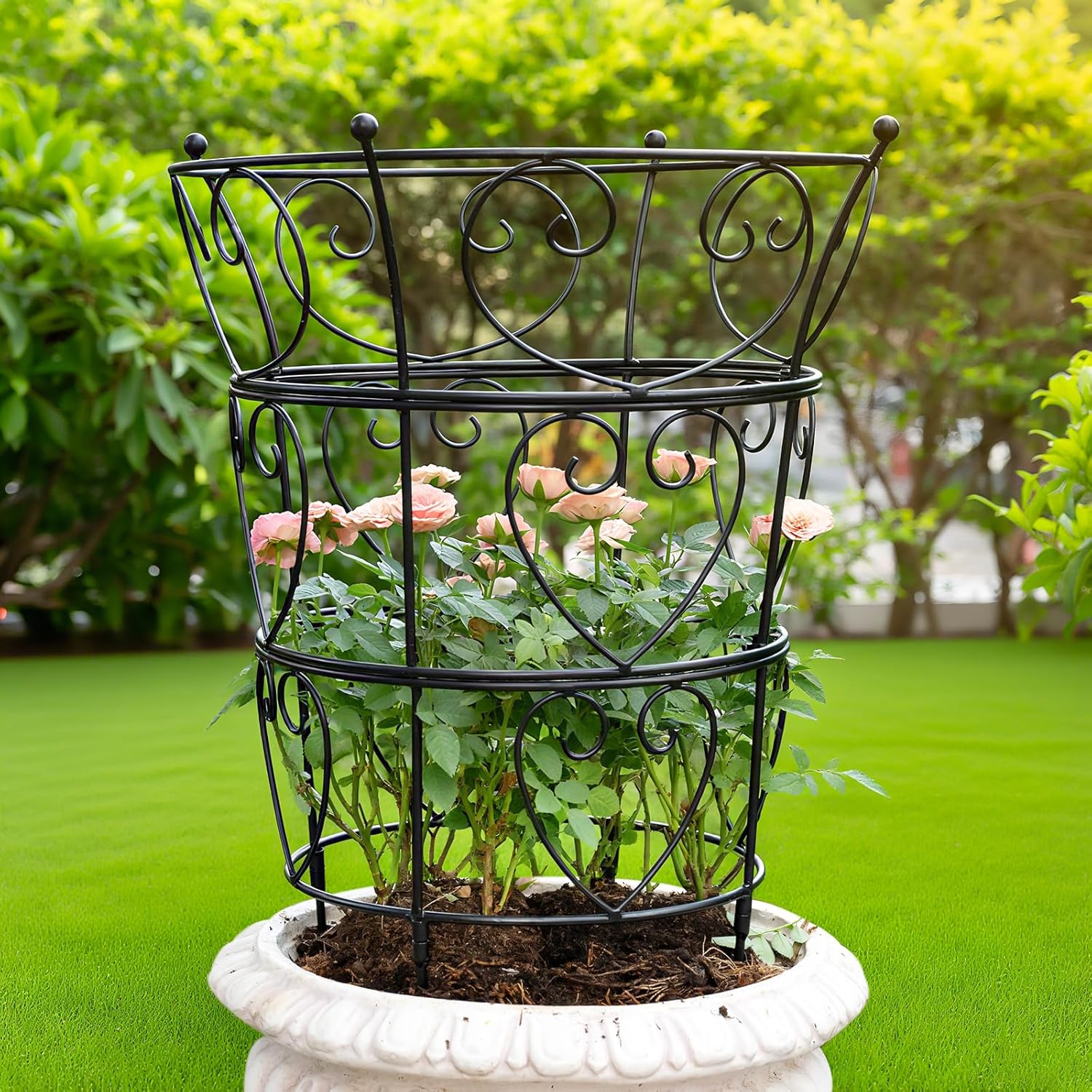 Large Obelisk Trellis Peony Cage for Climbing Plants Support