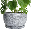SQOWL Ceramic Planters 10 in Round Flower Pot - Drainage & Saucer