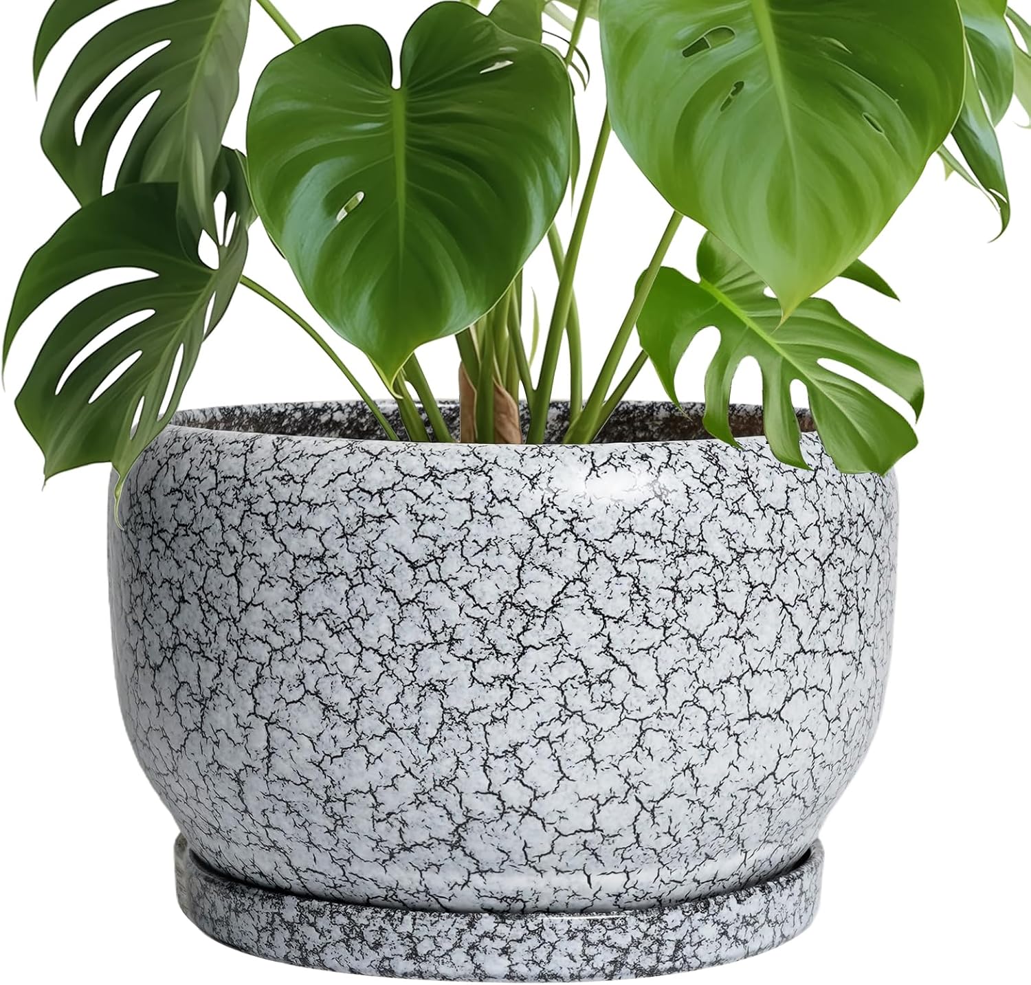 SQOWL Ceramic Planters - 10 Inch Decorative Flower Pot