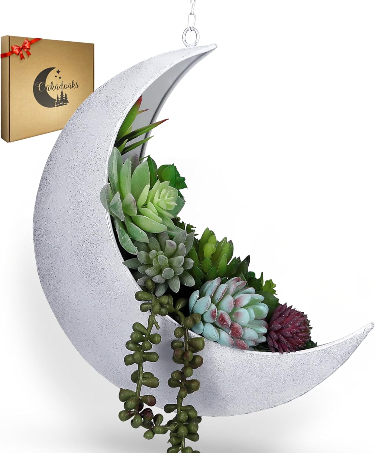 Hanging Moon Planter for Celestial Decor and Plant Lovers