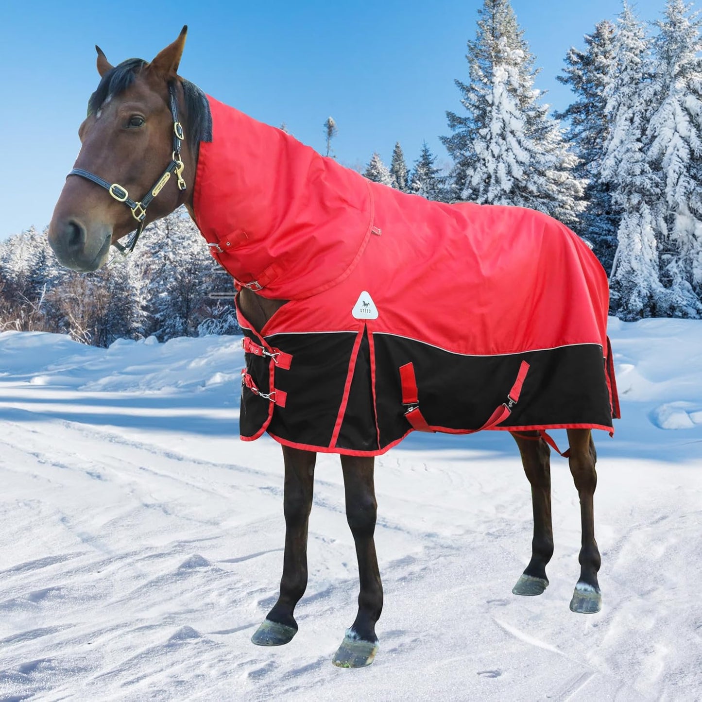 Snowproof 300g Filling Waterproof Horse Blanket