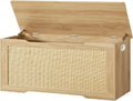 Stylish 39.4 Storage Chest with Rattan for Home Organization