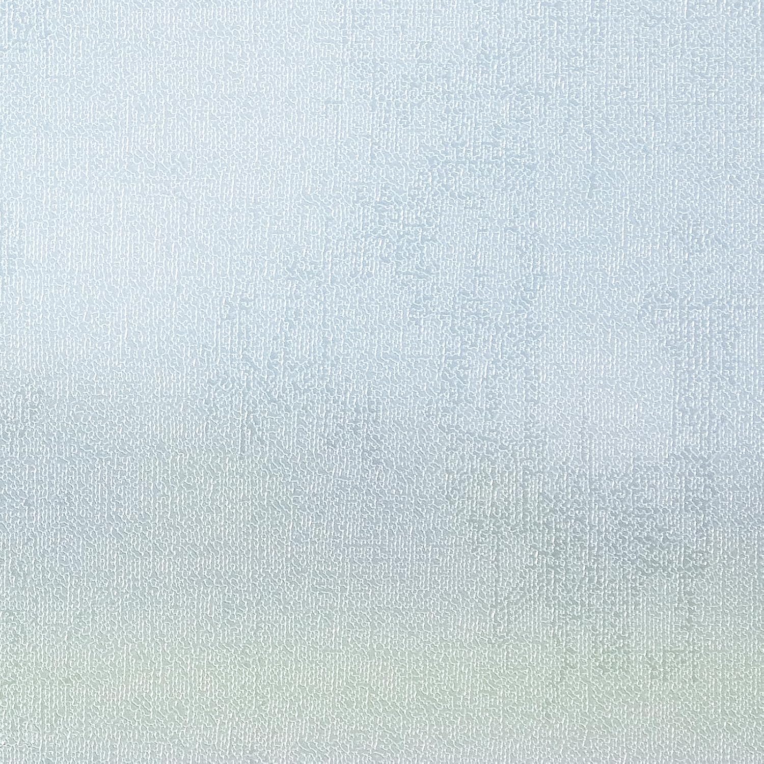 Frosted Glass Window Privacy Film for Home and Office Use