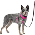 PetSafe Easy Walk Comfort No-Pull Dog Harness - No-Pull Walks