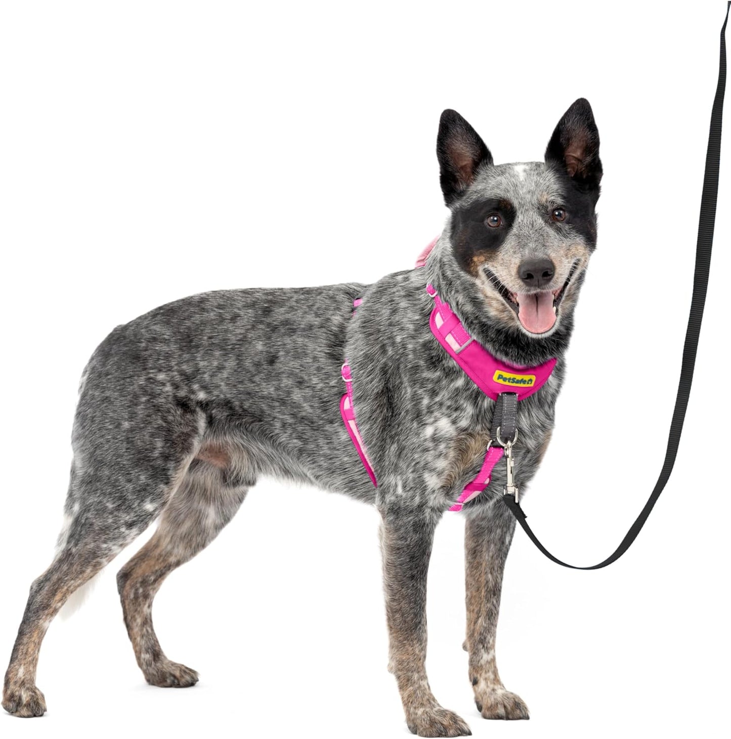 PetSafe Easy Walk Comfort No-Pull Dog Harness for Better Training