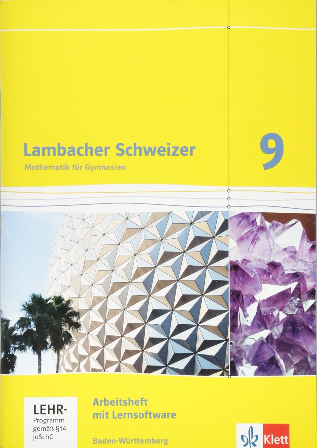 Lambacher Schweizer Mathematik 9 Arbeitsheft plus Lernsoftware Review