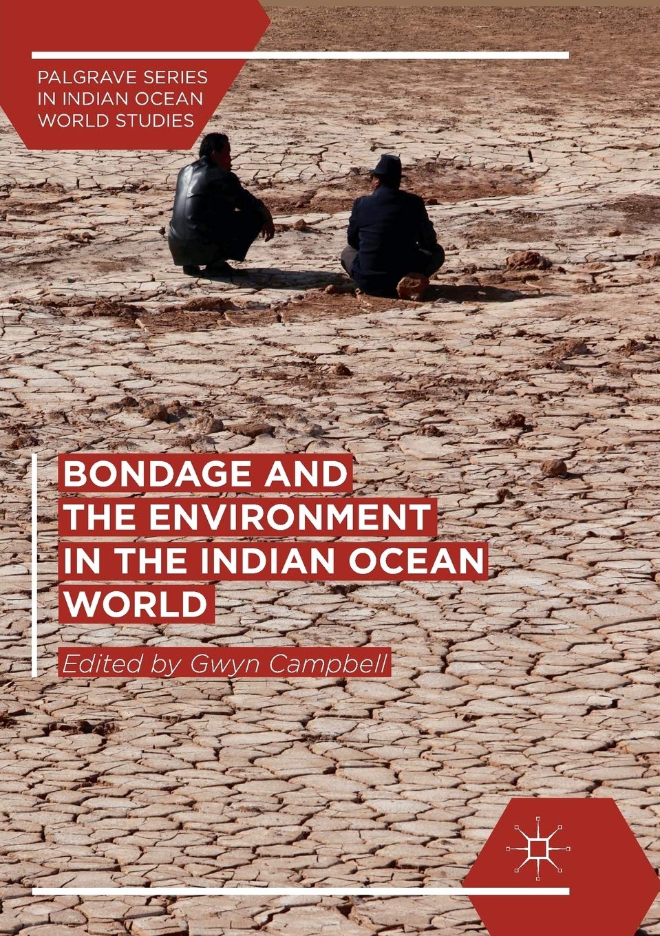 Bondage and the Environment in the Indian Ocean World Review
