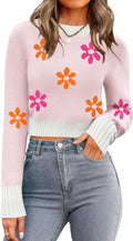 Women's Cropped Crewneck Sweater - Ribbed Knit Pullover Top