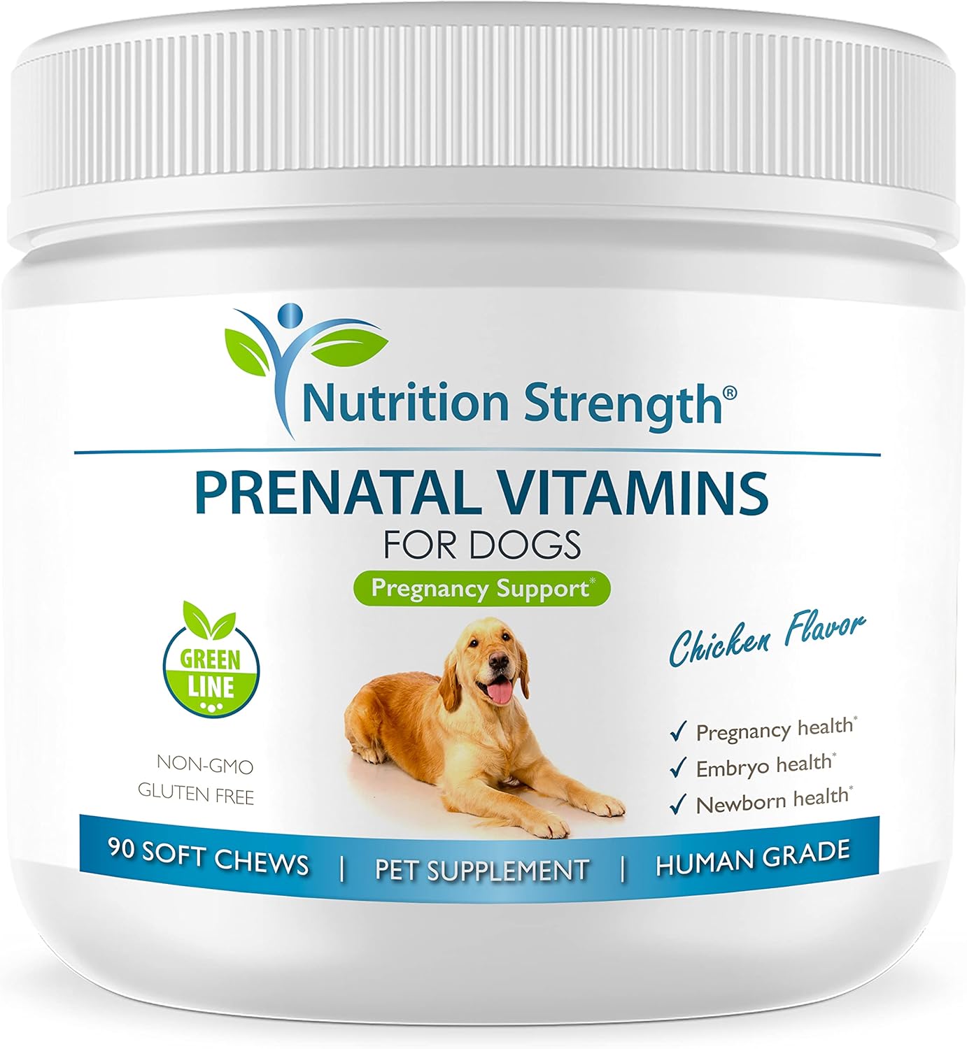 Prenatal Vitamins for Dogs to Support Healthy Puppy Development