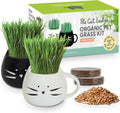 Cat Grass Growing Kit with Organic Seed Mix - Indoor Cat Gift