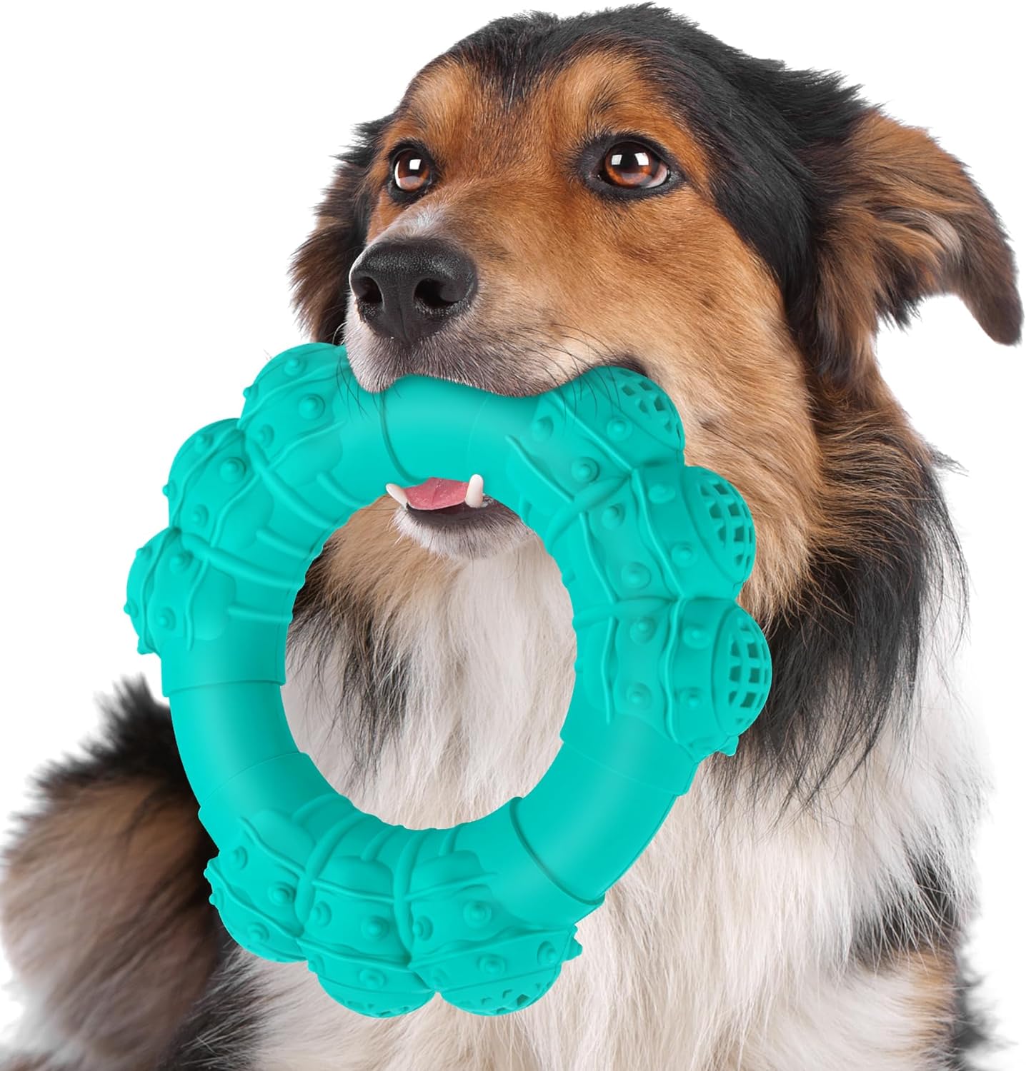 Ultimate Dog Chew Ring for Tough Chewers