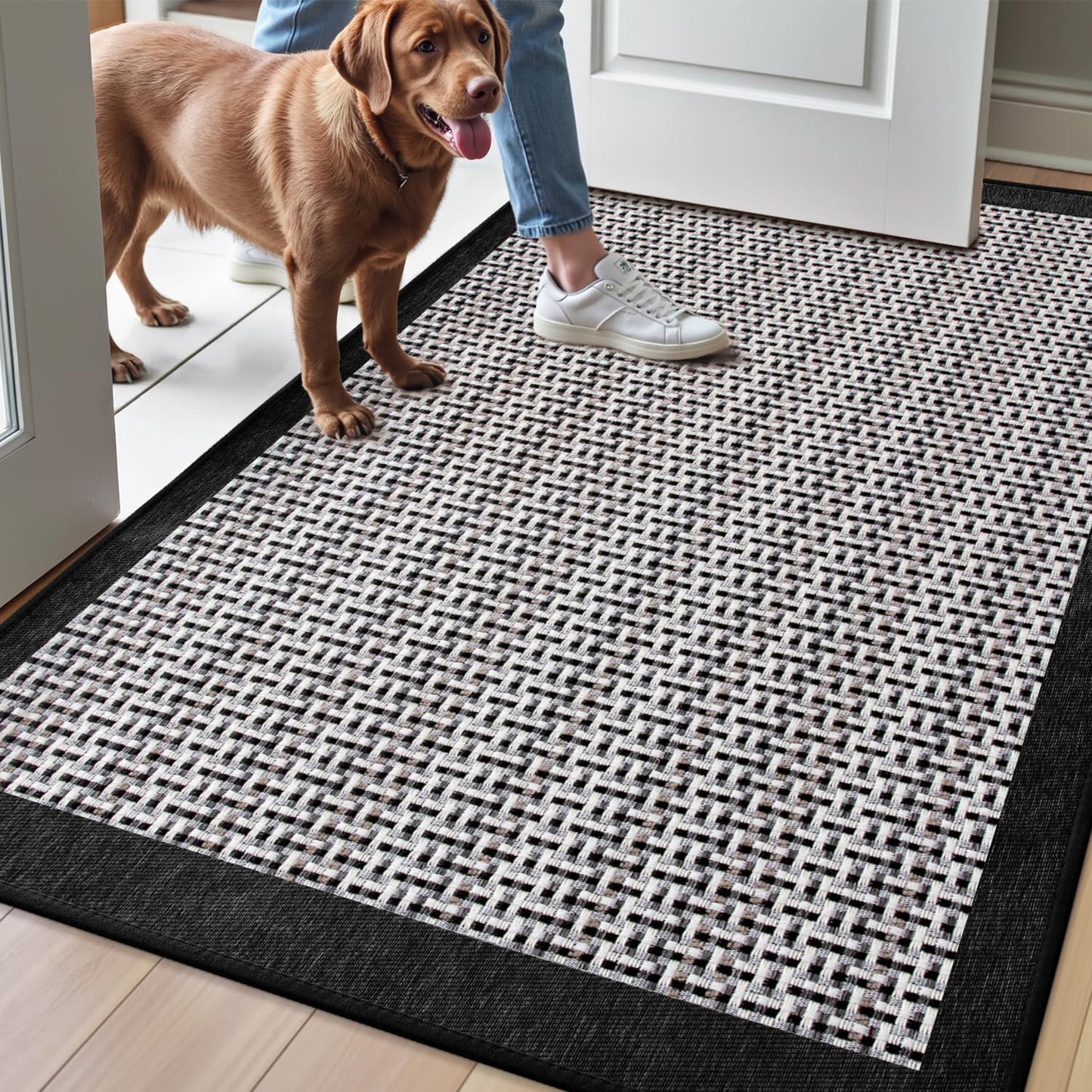 LUMI Inside Door Mat for Entry, Absorbent and Non Slip Design