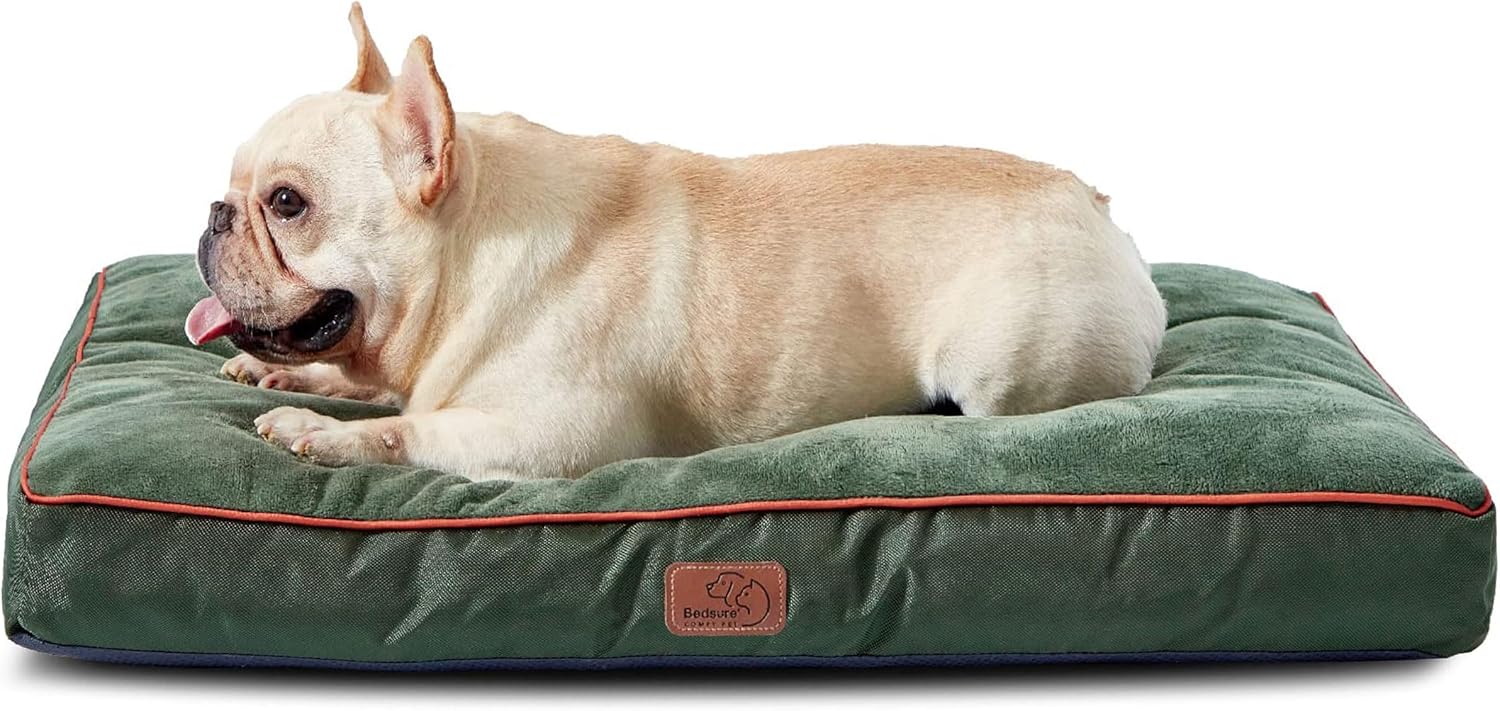 Washable Dog Bed for Medium Dogs - 3 Inch Thick Comfort