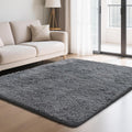 Fluffy Rug Shaggy Area Rug for Bedroom and Living Room Decor