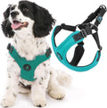 Gooby Escape Free Sport Harness Turquoise Small - Escape-Resistant Fit