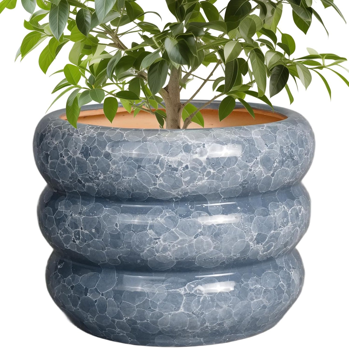 SQOWL Ceramic Planter 10 Inch for Indoor and Outdoor Plants