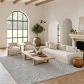 Versatile Indoor/Outdoor Silver Grey 6 ft x 9 ft Area Rug - Soft