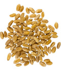 Palouse Brand Hard White Wheat Berries - Glyphosate Free 18 LBS