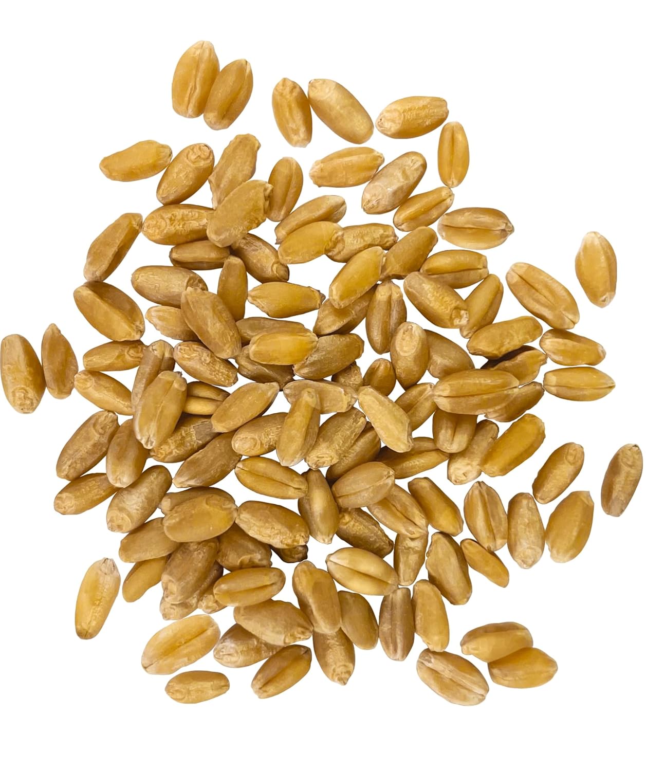 Palouse Brand Hard White Wheat Berries - Glyphosate Free 18 LBS