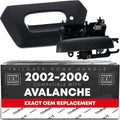 T1A Tailgate Handle Assembly Replacement - Direct OEM Fit